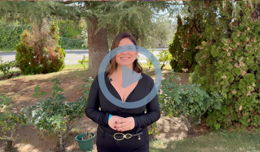 Caratula testimonio MIREIA